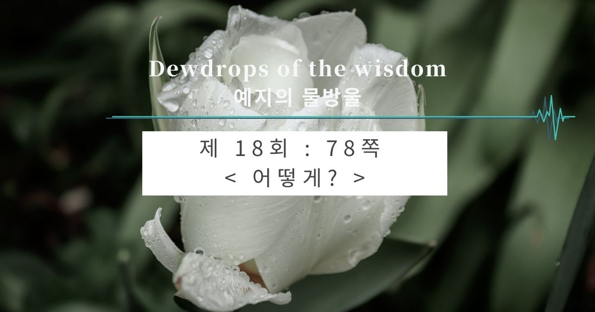제18회 : 78쪽 < 어떻게? >